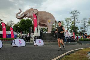 BIB: 
                            <button type="button" onclick="openModal(26528575)" class="btn btn-primary btn-sm float-right btn-popup" data-toggle="modal" data-target=".modal-high-quality">
                        <i class="fas fa-shopping-cart"></i> Add to Cart
                    </button>
                                            <button type="button" onclick="isThisMe(26528575, true)" class="btn btn-success btn-sm float-right btn-popup btn-isme hidden" data-toggle="tooltip" data-placement="bottom" title="นี่คือรูปของคุณใช่ไหม คลิกที่นี่เพื่อเอาเข้าอัลบั้ม">
                        <i class="fas fa-plus"></i> Add to album
                    </button>
                    <button type="button" onclick="isThisMe(26528575, false)" class="btn btn-warning btn-sm float-right btn-popup btn-isnotme hidden">
                        <i class="fas fa-ban"></i> Remove from album
                    </button>